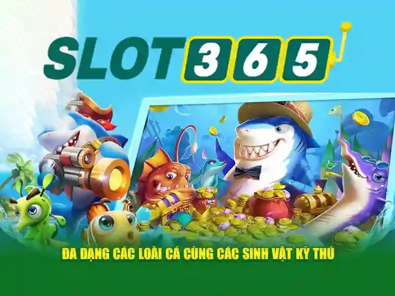 Trải nghiệm người dùng
