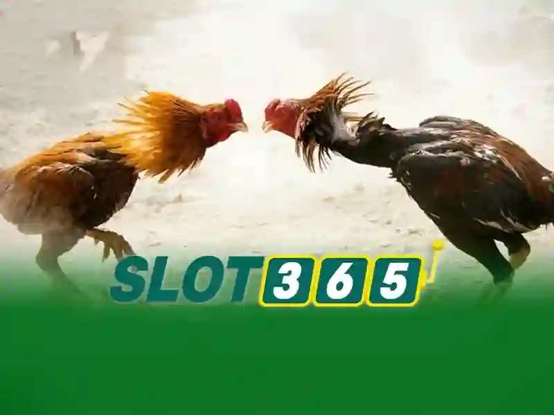 Nguồn gốc và sứ mệnh của slot365 apk