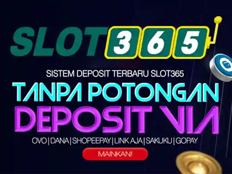 Giao diện và trải nghiệm người dùng