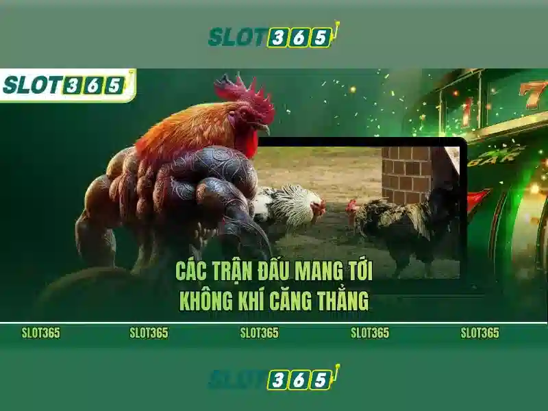 Slot365 là gì?\n<h3>An toàn và thanh toán</h3>\n<p><span style=