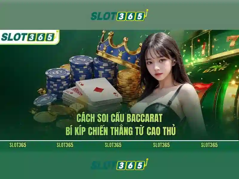 slot365 đăng nhập – chủ đề tổng quan và giá trị cốt lõi