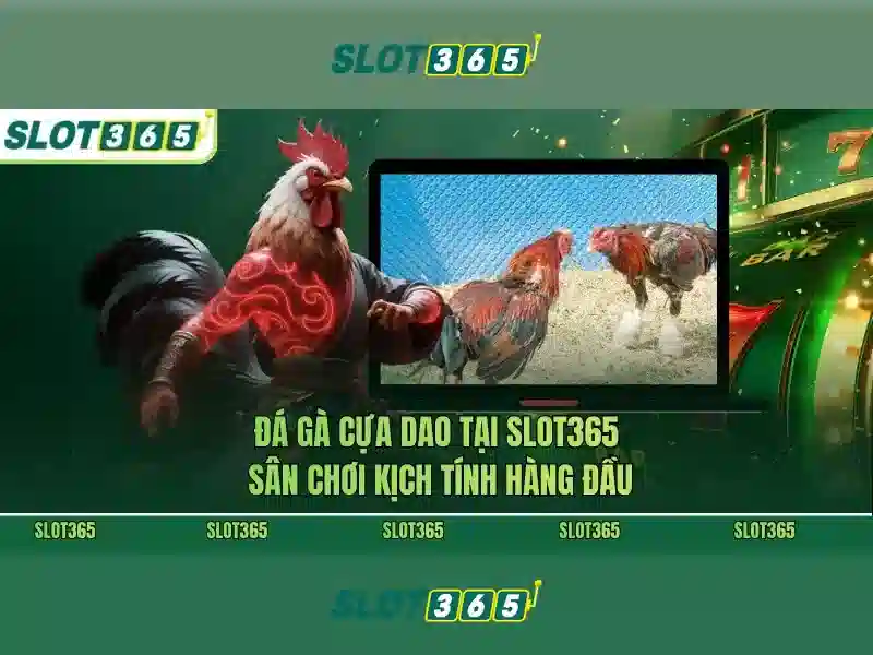 Các sản phẩm và dịch vụ của slot365 vn