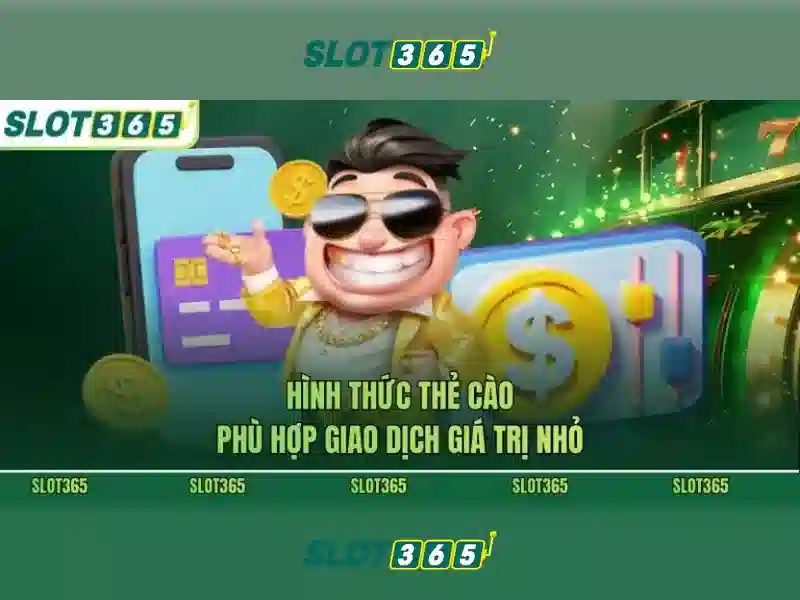 Hỗ trợ khách hàng và trải nghiệm người dùng