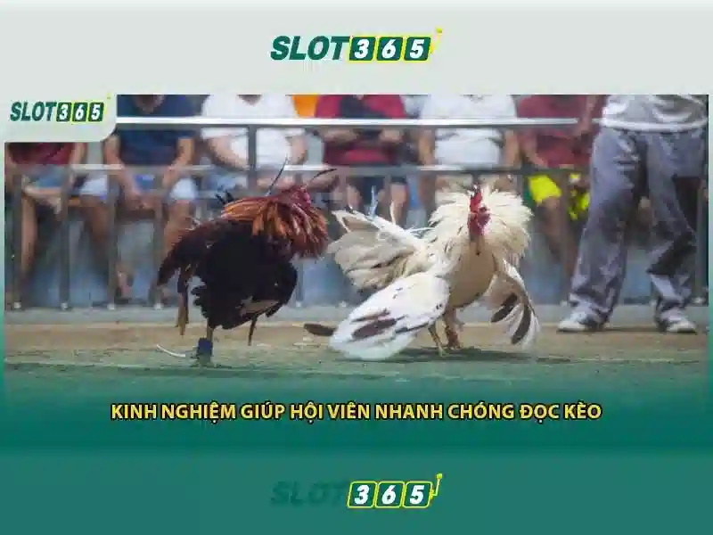 Khuyến mãi và chương trình khách hàng thân thiết