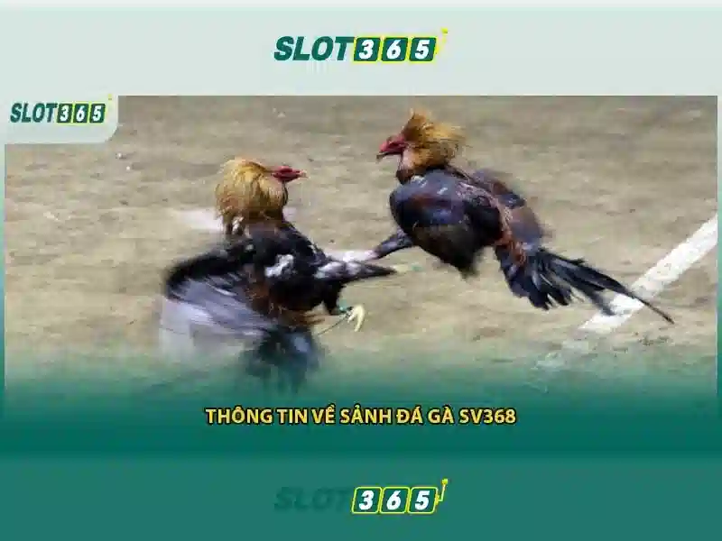 Sản phẩm và dịch vụ cốt lõi: ứng dụng thực tế của rtp slot365