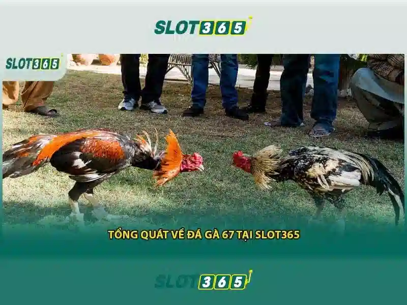 Mẹo chơi bắn cá 3 cây dễ ăn tiền nhà cái