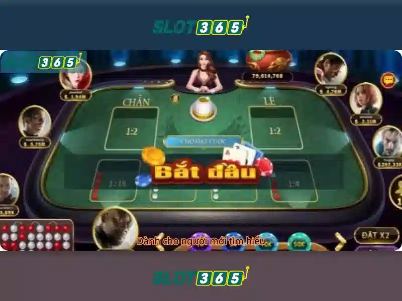 Slot365 - Nền tảng casino trực tuyến đa dạng