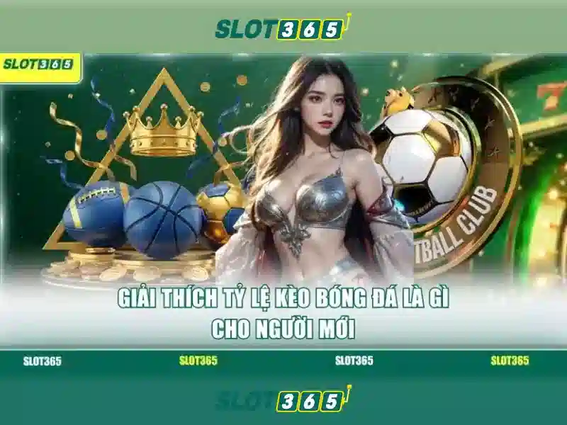 Giao diện người dùng và trải nghiệm
