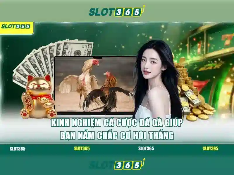 Slot365 là nền tảng slot trực tuyến hàng đầu