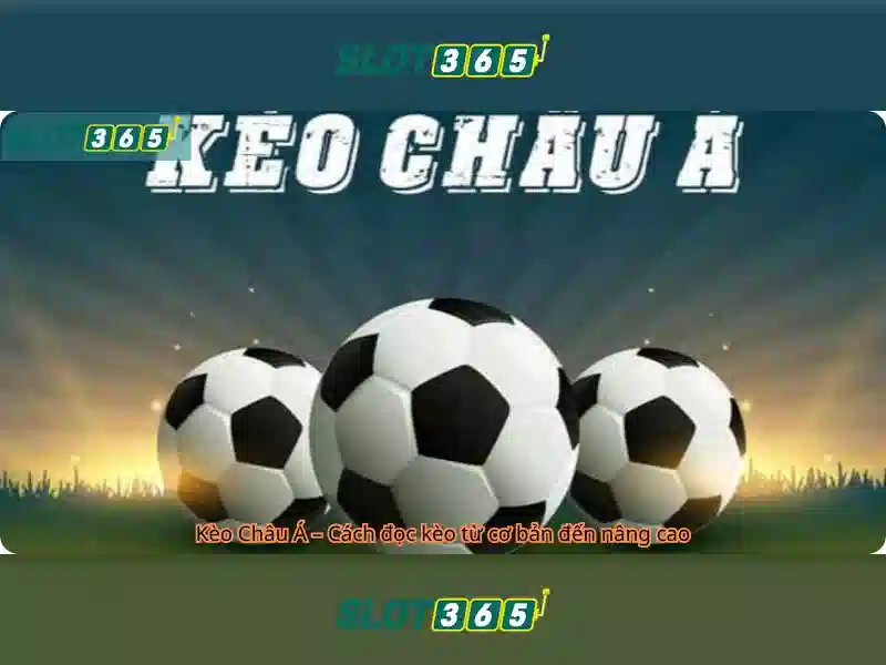 Giao diện người dùng và trải nghiệm di động