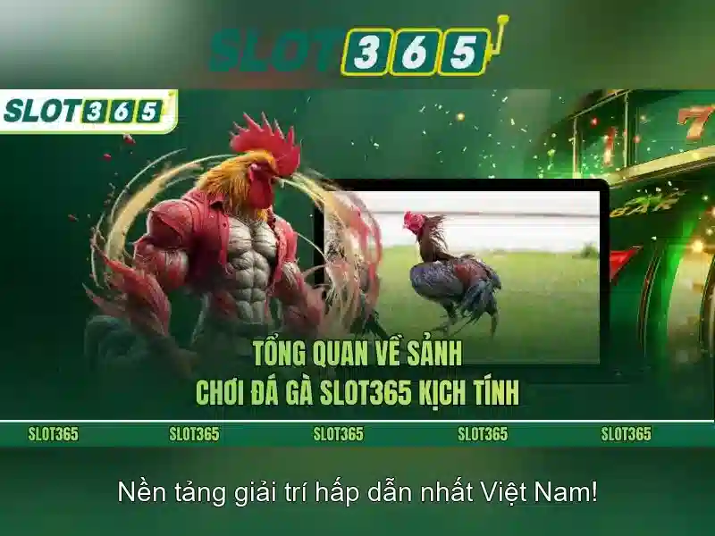 Ưu điểm chính của Slot365