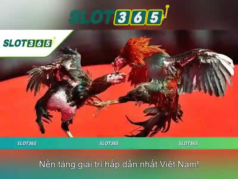 An toàn và thanh toán trên Slot365