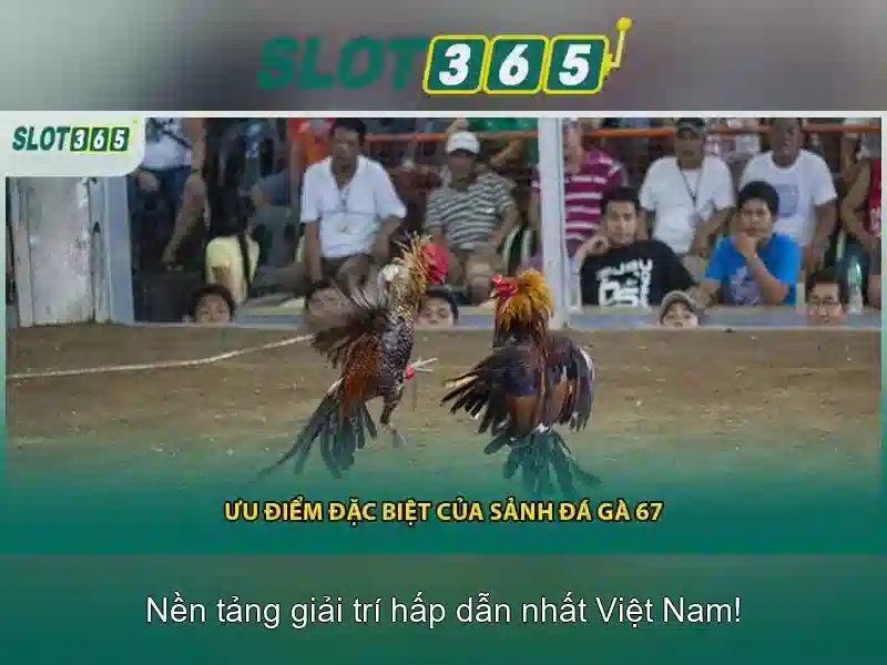 An toàn và khuyến mãi