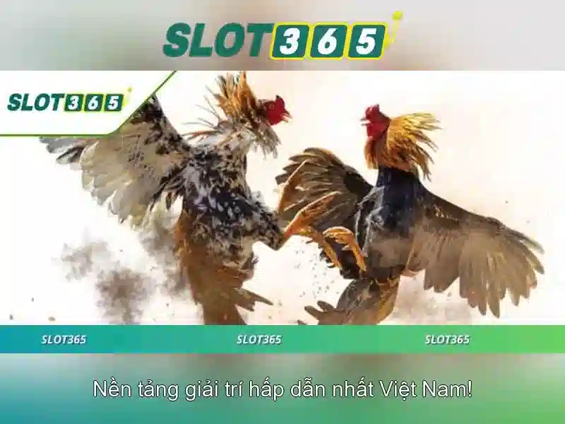 Khuyến mãi và chương trình thưởng hấp dẫn
