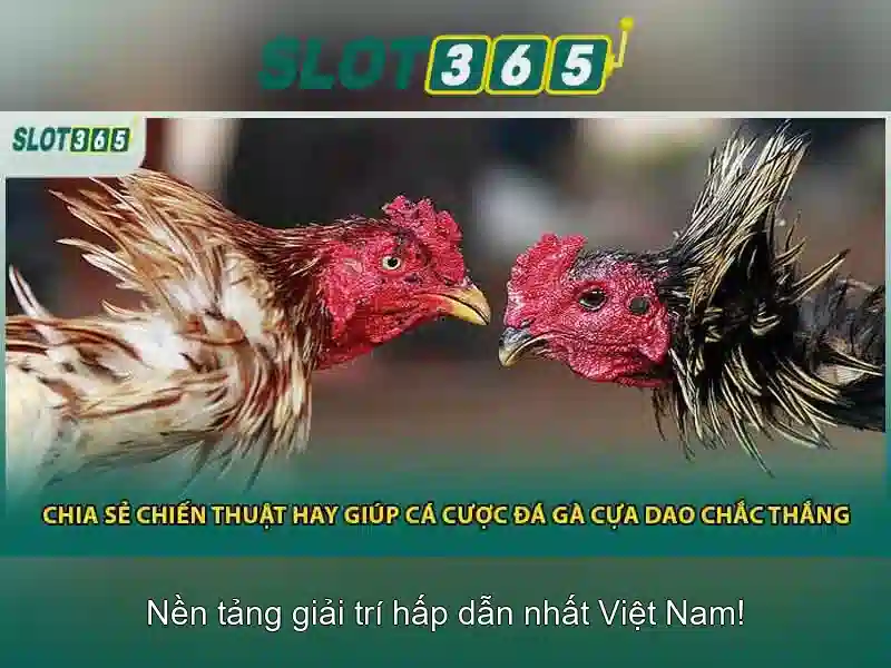 Trải nghiệm người dùng và giao diện