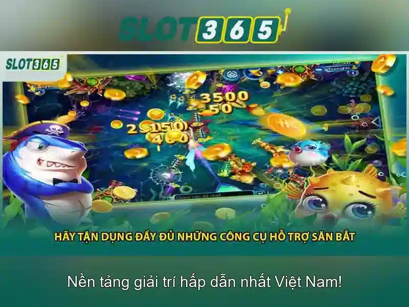 Giao diện di động và tối ưu hóa