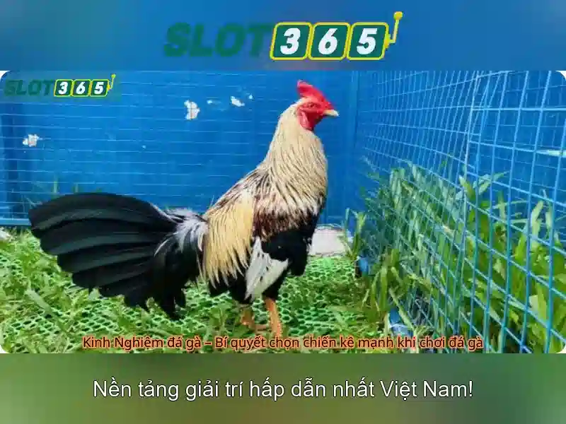 Mẹo chơi bắn cá 3 cây dễ ăn tiền nhà cái