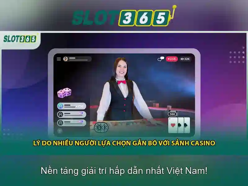 Trải nghiệm người dùng và hỗ trợ khách hàng