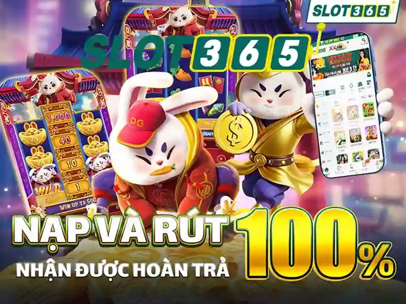 hướng dẫn Slot365 – Tổng quan chủ đề và giá trị cốt lõi