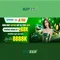 Slot365: Khám phá nền tảng slot trực tuyến phổ biến