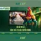 Slot365 - Nền tảng slot trực tuyến đáng tin cậy và giải trí