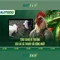 Slot365 - Trải nghiệm casino xèng trực tuyến hàng đầu