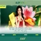 Slot365: Trải nghiệm chơi slot trực tuyến hàng đầu