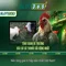 Slot365: Đánh giá và Trải nghiệm người chơi