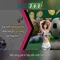 Slot365 - Tổng quan và Trải nghiệm Người chơi