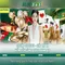Slot365 là gì? Trải nghiệm slot trực tuyến hiện đại