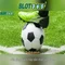 Slot365 - Tổng quan về nền tảng máy đánh bạc trực tuyến