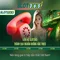 Slot365: Tổng quan về nền tảng máy xèng trực tuyến