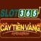 Slot365 có hợp pháp không: Pháp lý và trải nghiệm người dùng